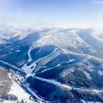Pod Rejvizem *