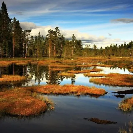 Domek alpejski Pod Rejvizem *
