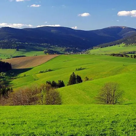 Pod Rejvizem Domek alpejski