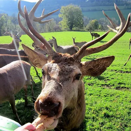 Pod Rejvizem Domek alpejski *