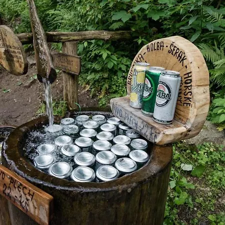 Pod Rejvizem Jesenik
